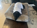 Dog Bath Robes