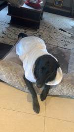 Dog Bath Robes